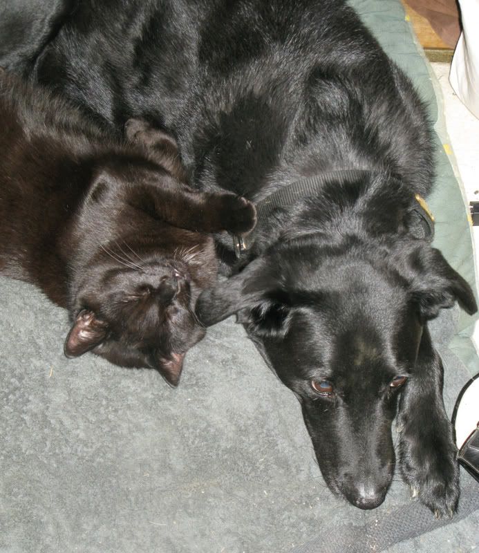 IMAGE: http://i76.photobucket.com/albums/j23/shortwave5/Image056crop.jpg