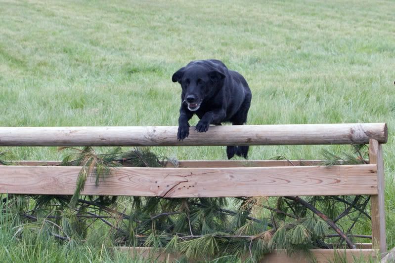 IMAGE: http://i76.photobucket.com/albums/j23/shortwave5/JrHuntCup174pp.jpg