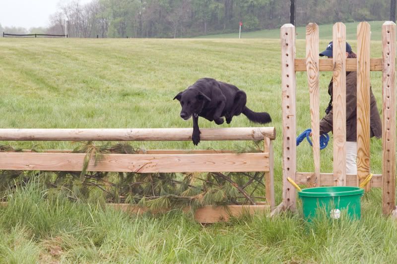 IMAGE: http://i76.photobucket.com/albums/j23/shortwave5/JrHuntCup373pp.jpg