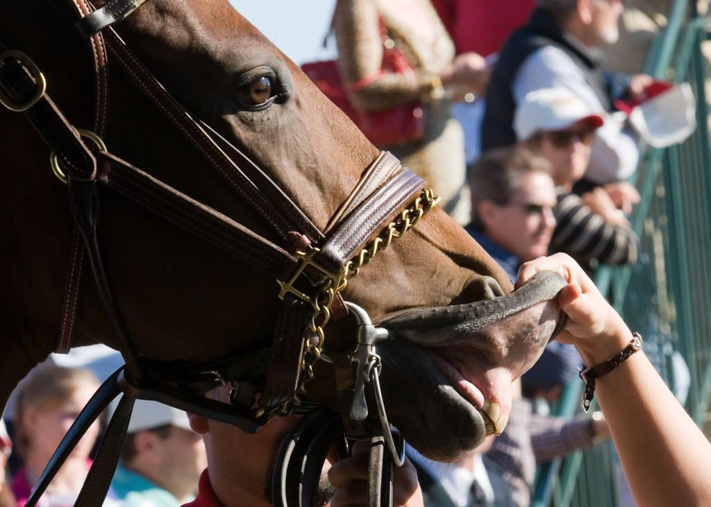 IMAGE: http://i76.photobucket.com/albums/j23/shortwave5/MDMillion263.jpg