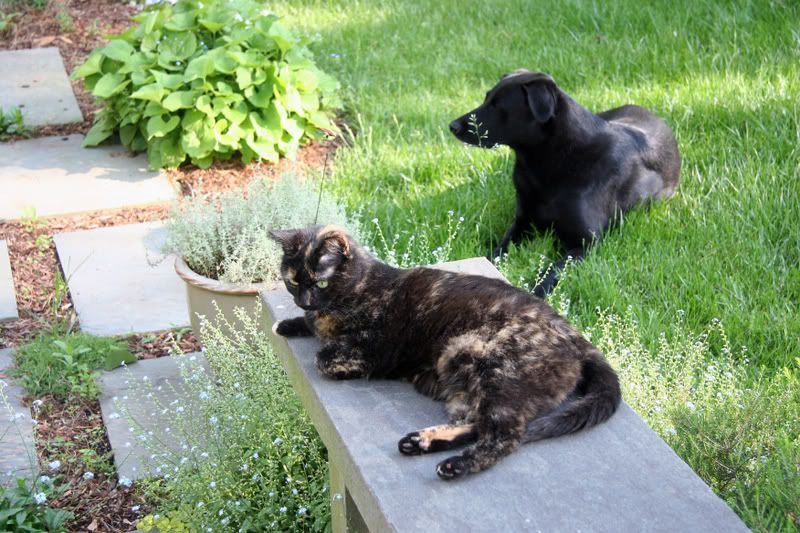 IMAGE: http://i76.photobucket.com/albums/j23/shortwave5/MixedPictures139adj.jpg