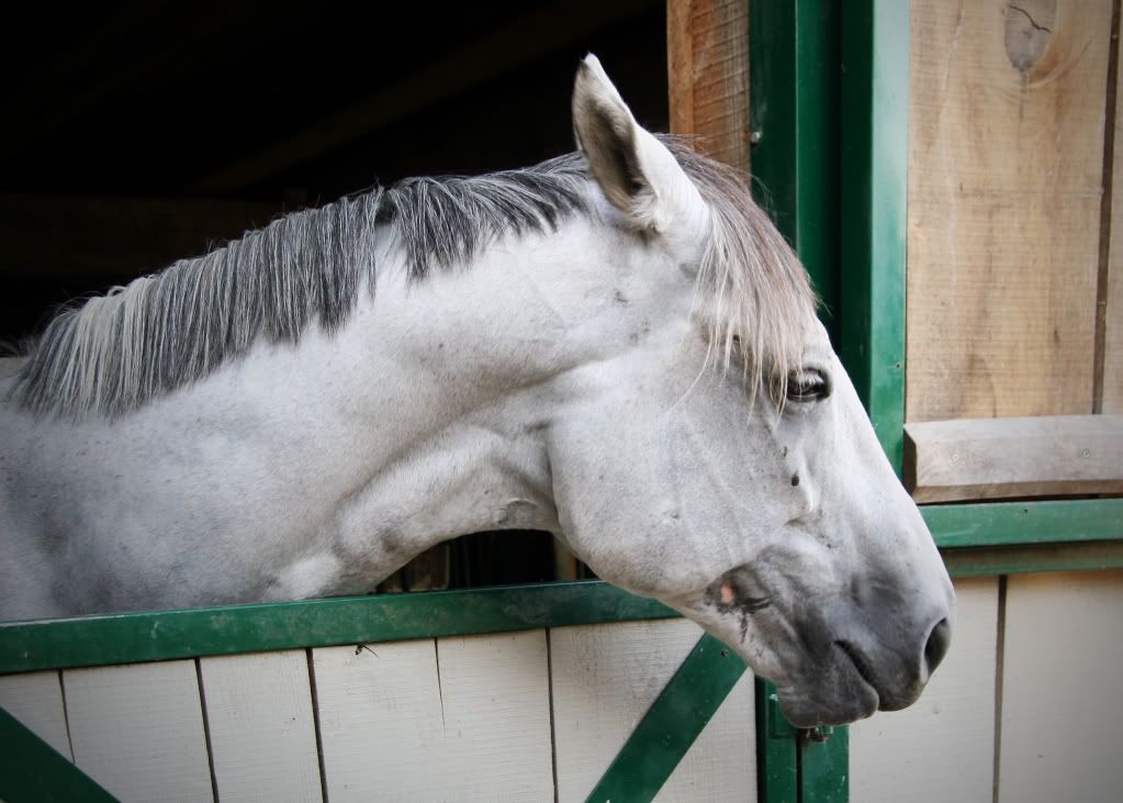 IMAGE: http://i76.photobucket.com/albums/j23/shortwave5/Punched.jpg