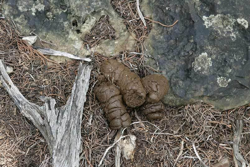 IMAGE: http://i76.photobucket.com/albums/j23/shortwave5/Ranch-069.jpg