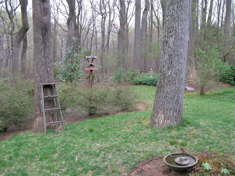 IMAGE: http://i76.photobucket.com/albums/j23/shortwave5/image007.jpg