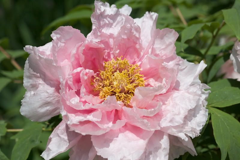 IMAGE: http://i76.photobucket.com/albums/j23/shortwave5/image690pp.jpg