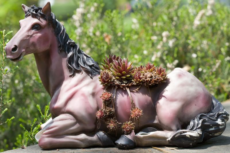 IMAGE: http://i76.photobucket.com/albums/j23/shortwave5/image754pp.jpg