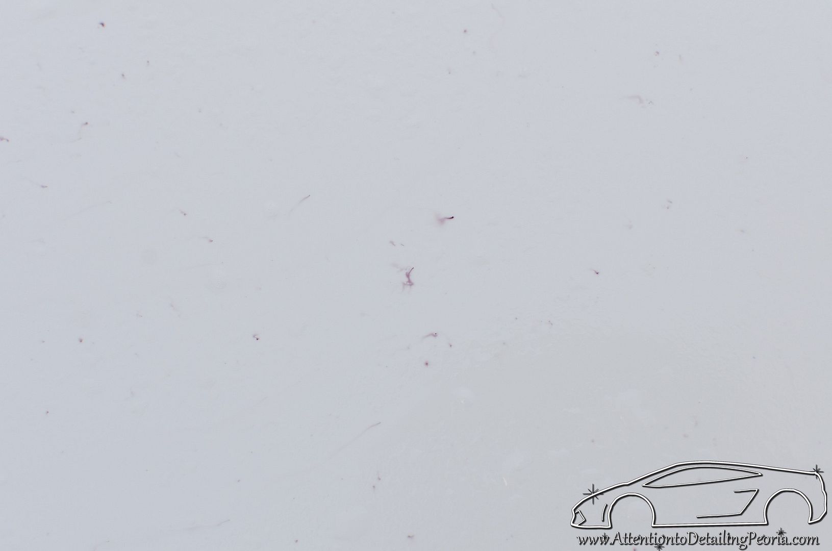 20140422-DSC_8877_zpsa8f12451.jpg