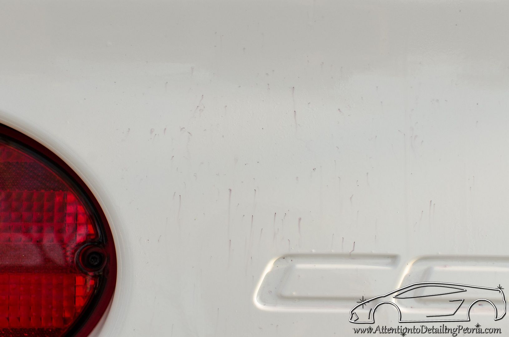 20140422-DSC_8888_zps99290e82.jpg