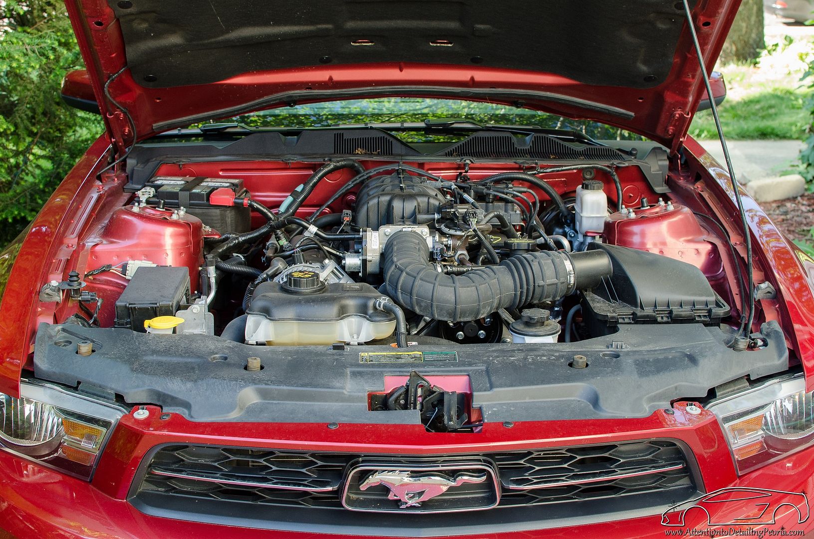 20140613-DSC_9653_zps8a08ec21.jpg
