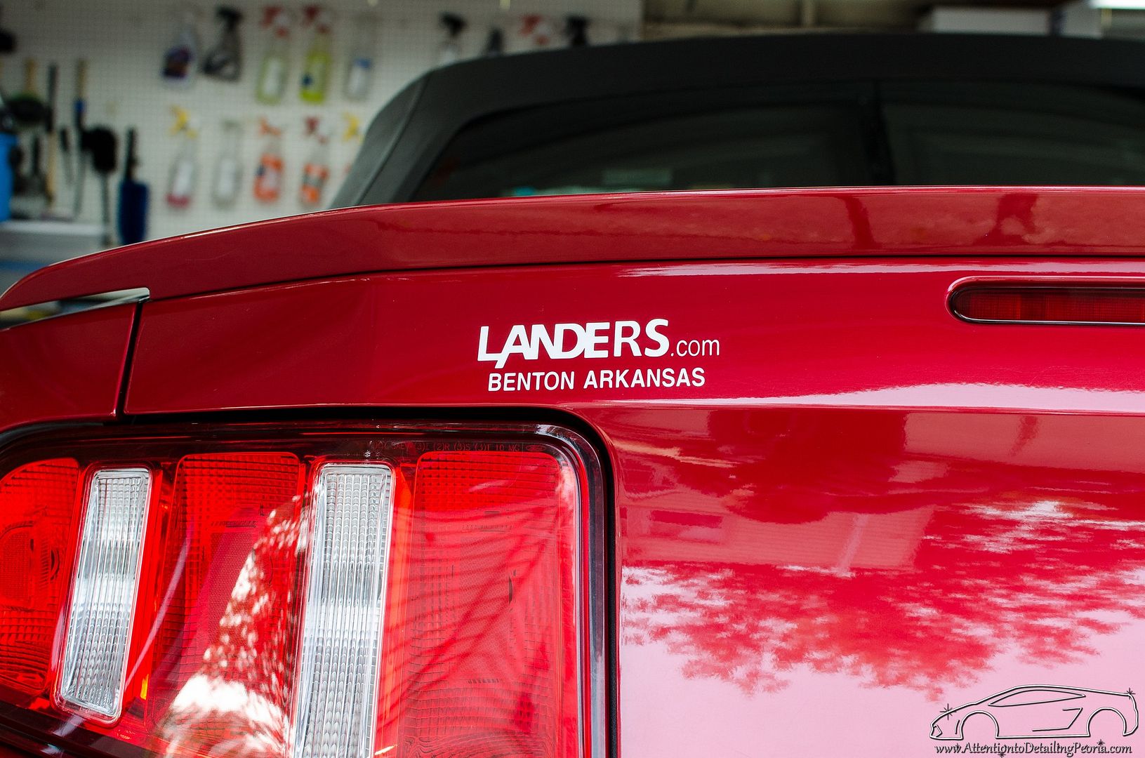 20140613-DSC_9671_zps4329f701.jpg
