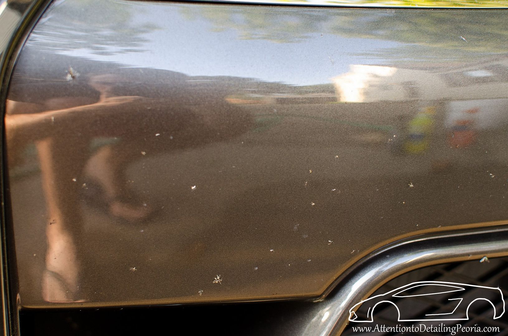 20130823-DSC_3814_zps44830819.jpg