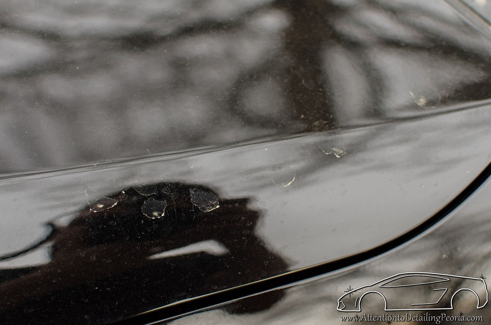 20140410-DSC_8575_zpsc70d09b6.jpg