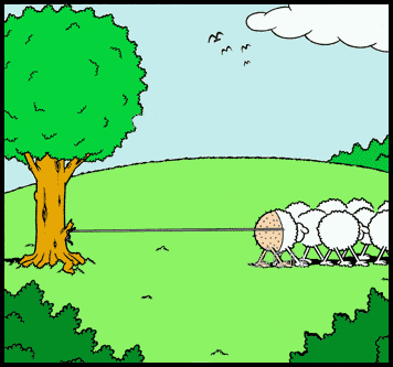 [Bild: SheepComic.png]