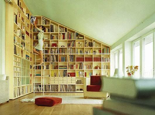 x A nice big bookshelf and the time to read!