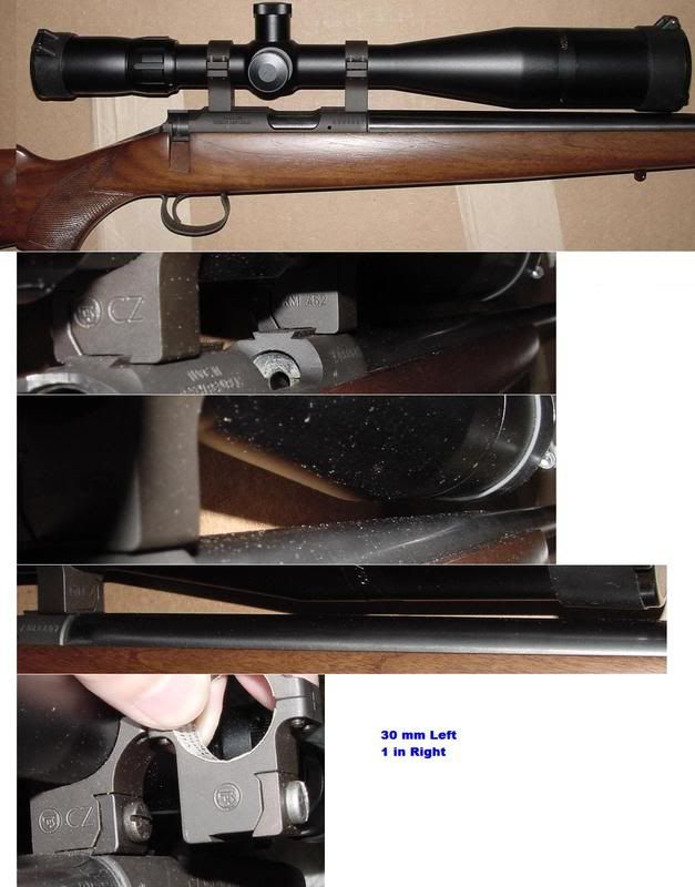 CZ 452 Scope Mount Rimfire Central Firearm Forum