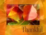 thankful Pictures, Images and Photos