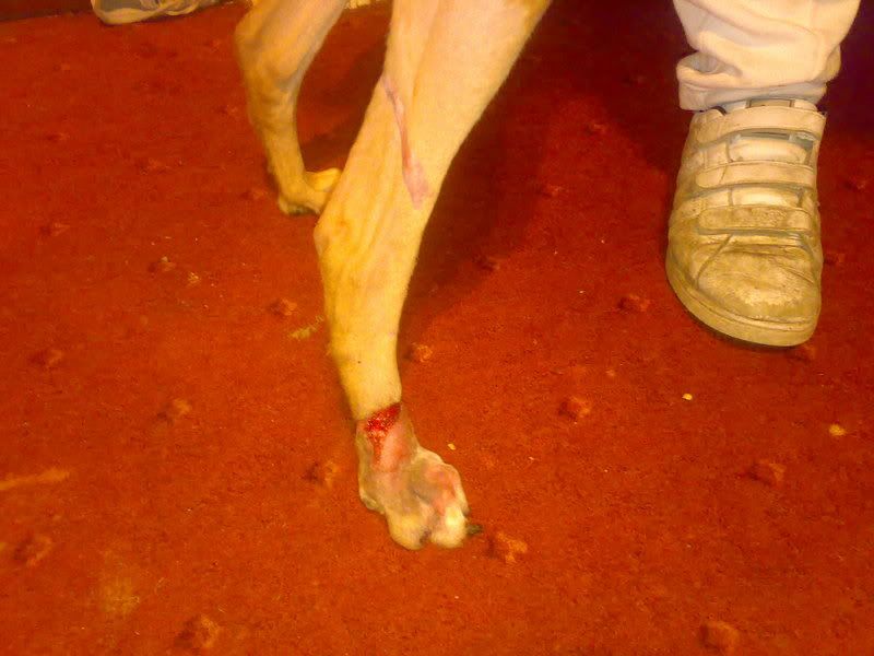 01122007699.jpg