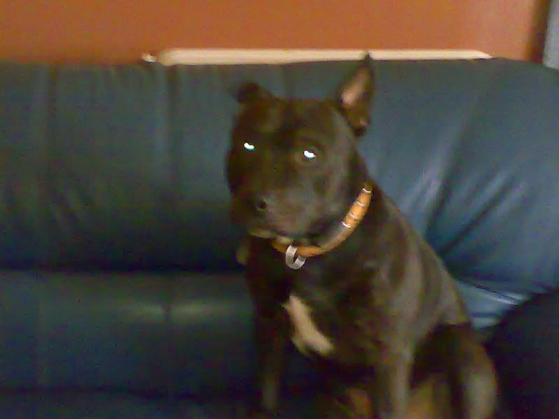 15032008866.jpg
