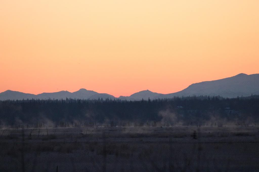 IMAGE: http://i76.photobucket.com/albums/j28/chuckgeiger/004-6.jpg