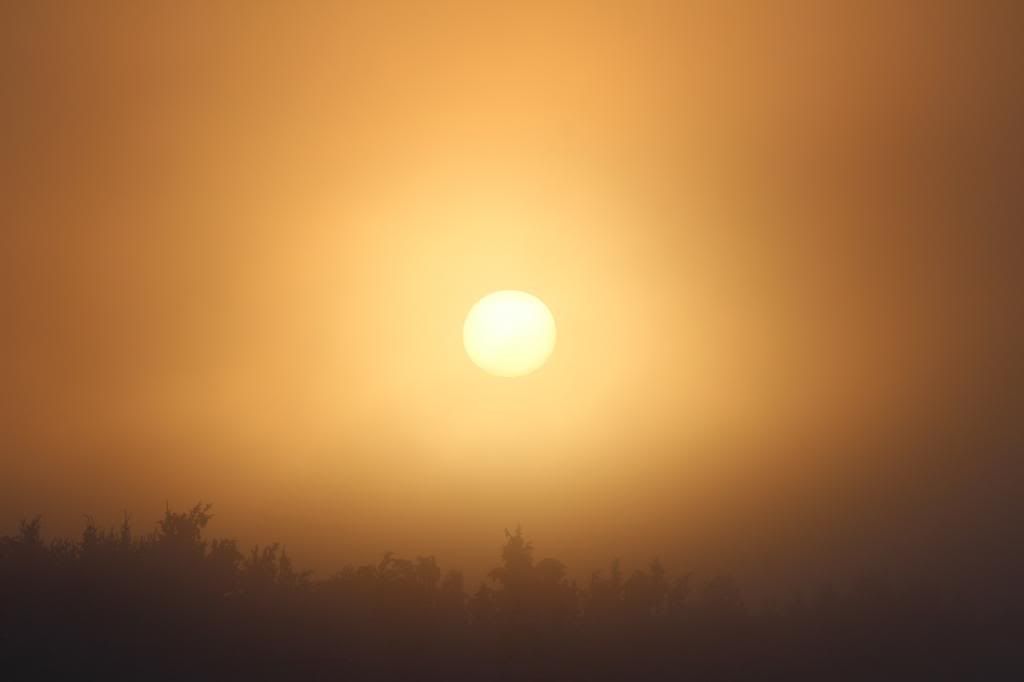 IMAGE: http://i76.photobucket.com/albums/j28/chuckgeiger/004-8_zpsb6a5a005.jpg