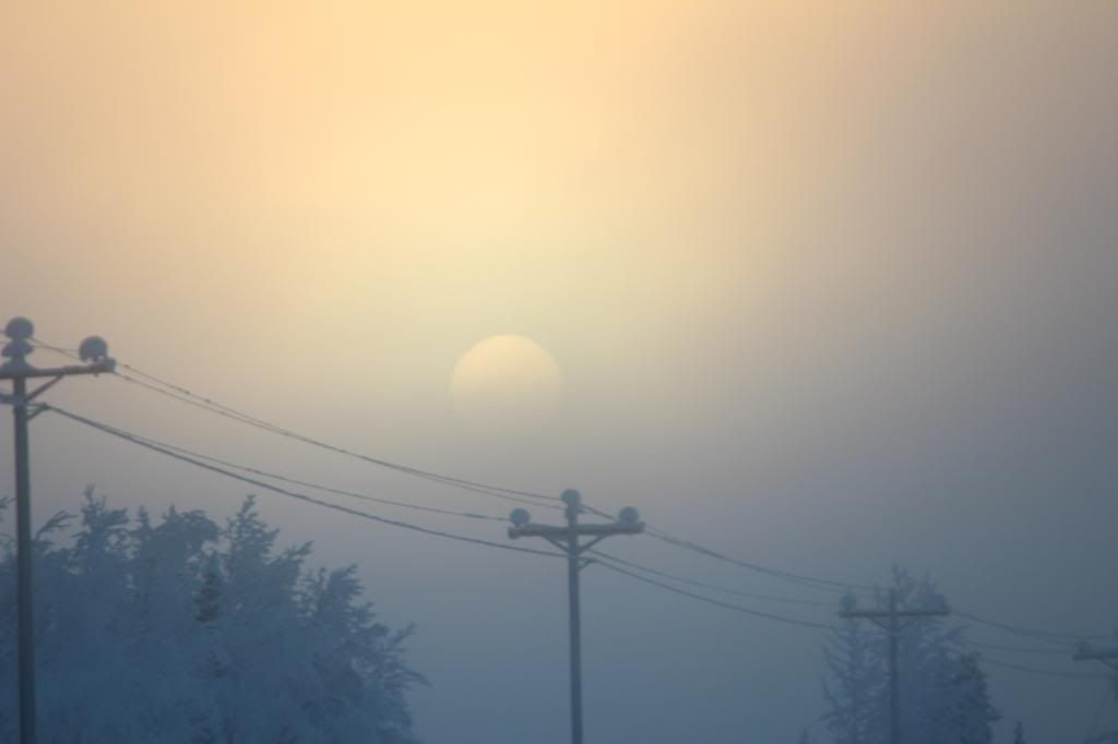 IMAGE: http://i76.photobucket.com/albums/j28/chuckgeiger/005-4_zpsabe1d39d.jpg