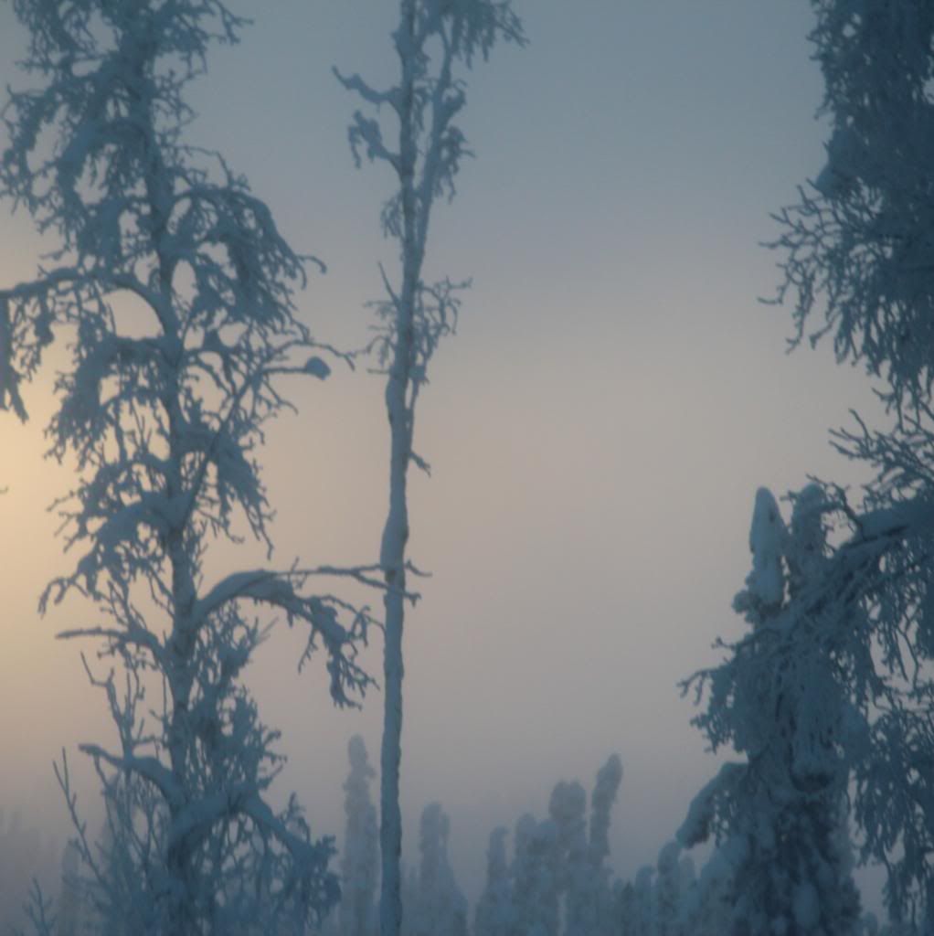 IMAGE: http://i76.photobucket.com/albums/j28/chuckgeiger/006-5_zpsd990cd27.jpg