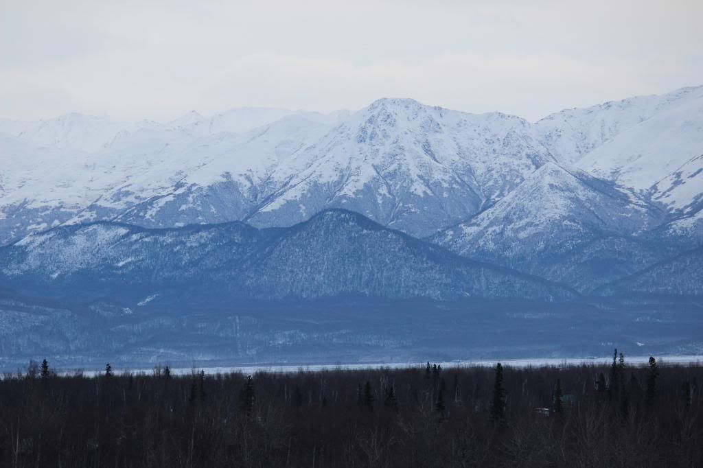 IMAGE: http://i76.photobucket.com/albums/j28/chuckgeiger/007-3.jpg