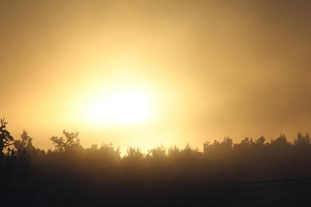 IMAGE: http://i76.photobucket.com/albums/j28/chuckgeiger/007-4_zps6b8d4461.jpg