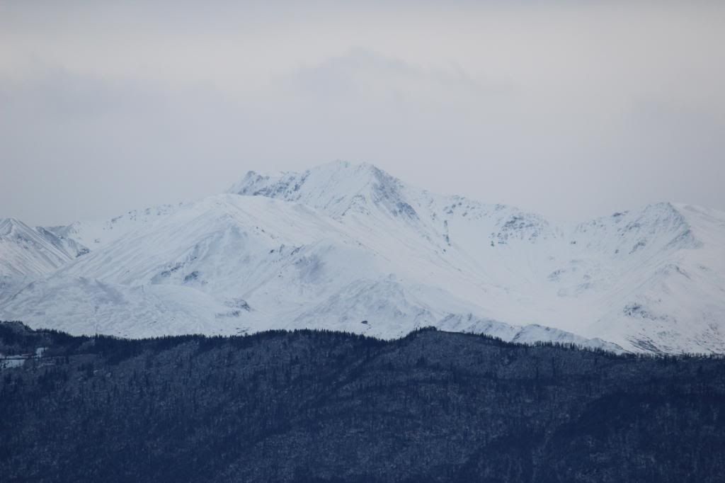 IMAGE: http://i76.photobucket.com/albums/j28/chuckgeiger/010-3.jpg