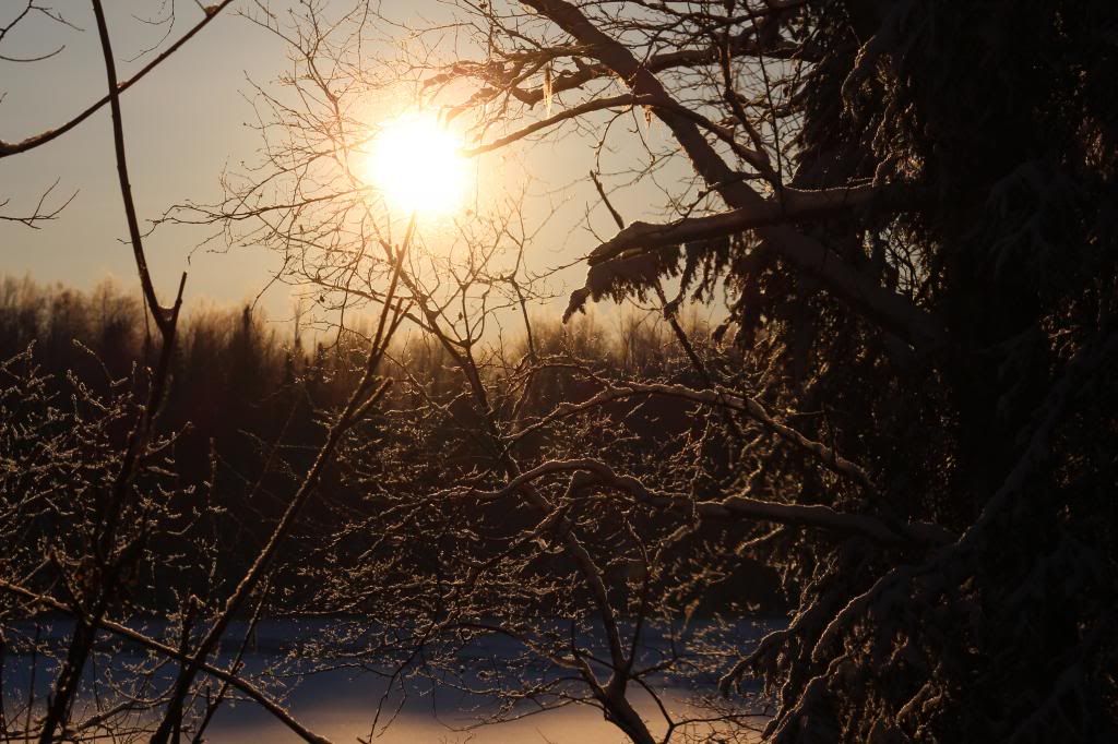 IMAGE: http://i76.photobucket.com/albums/j28/chuckgeiger/020-2.jpg