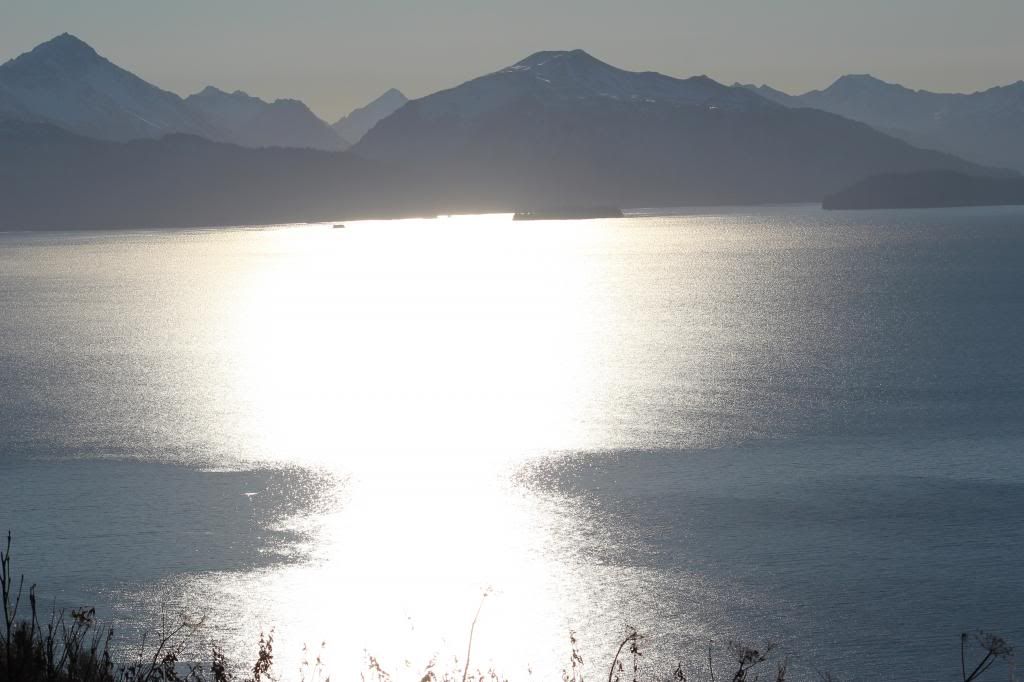 IMAGE: http://i76.photobucket.com/albums/j28/chuckgeiger/024-3.jpg