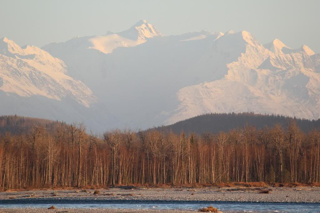 IMAGE: http://i76.photobucket.com/albums/j28/chuckgeiger/068.jpg