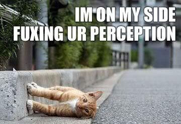 perception Pictures, Images and Photos