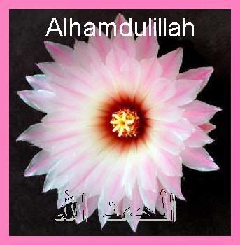 Alhamdulillah-1.jpg