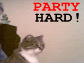 http://i76.photobucket.com/albums/j30/fifties/partyhard.gif
