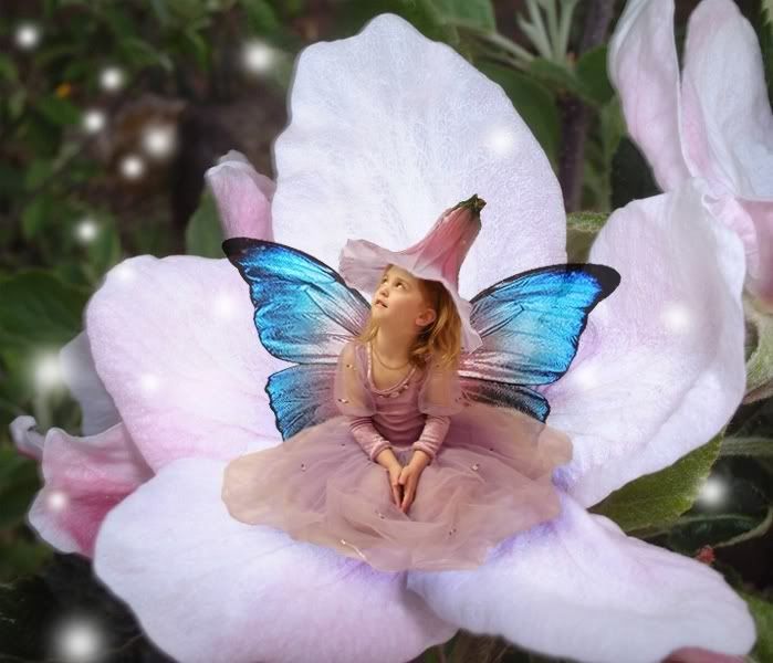 lente.jpg
