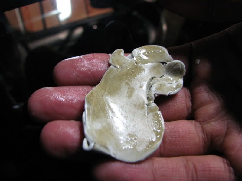 Pic152.jpg