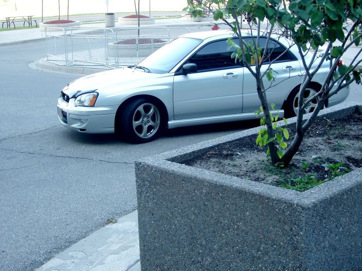 04.jpg