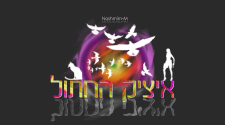 תמונה