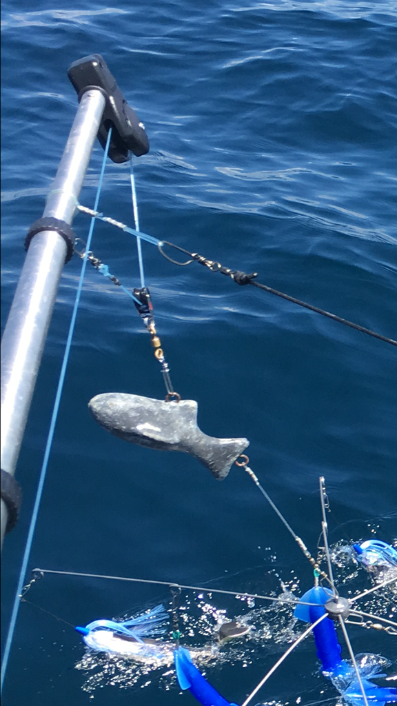 Dredge experiences Page 2