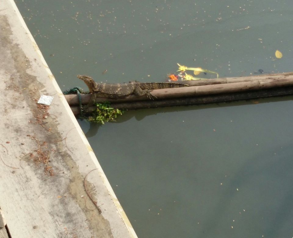 10470246_10153527783807506_3325117835700