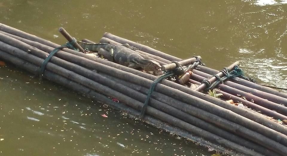 10947171_10153527790427506_8596440855932