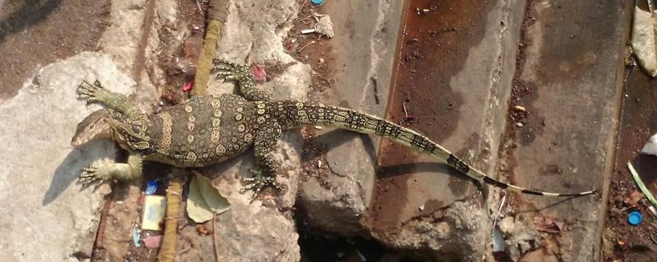 10959907_10153527784547506_2014674321948