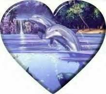 Dolphin In A Heart Pictures, Images and Photos
