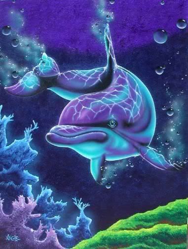 Cute Dolphin Backgrounds 7