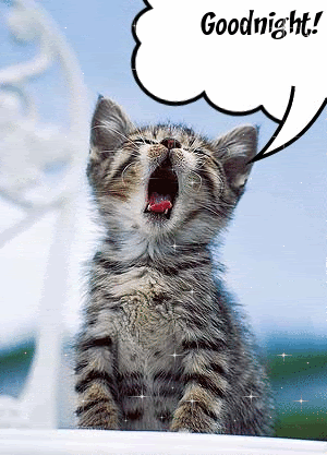 goodnight.gif