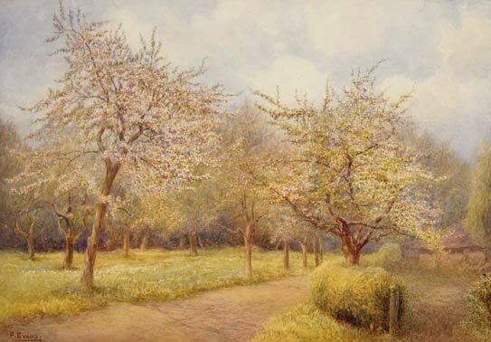 FREDERICK HENRY EVANS