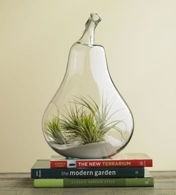 Садики на подоконнике Photobucket