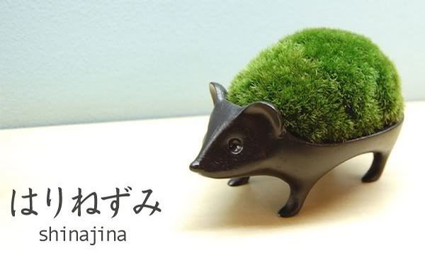 Садики на подоконнике Photobucket