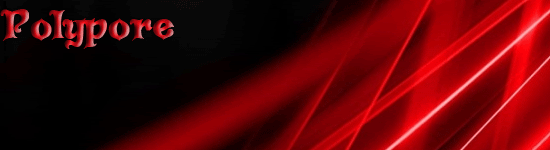 Polypore Slayers